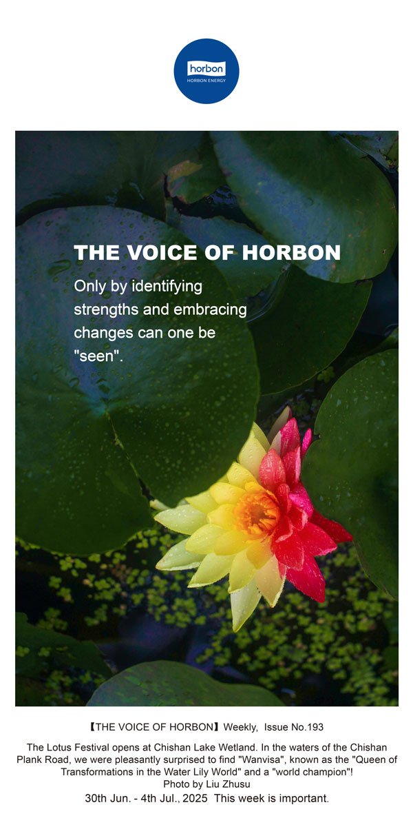 【和之声】找准优势、拥抱变动，能力“被看见”。(总第193期）--2025.6英文导出季度推送用.jpg