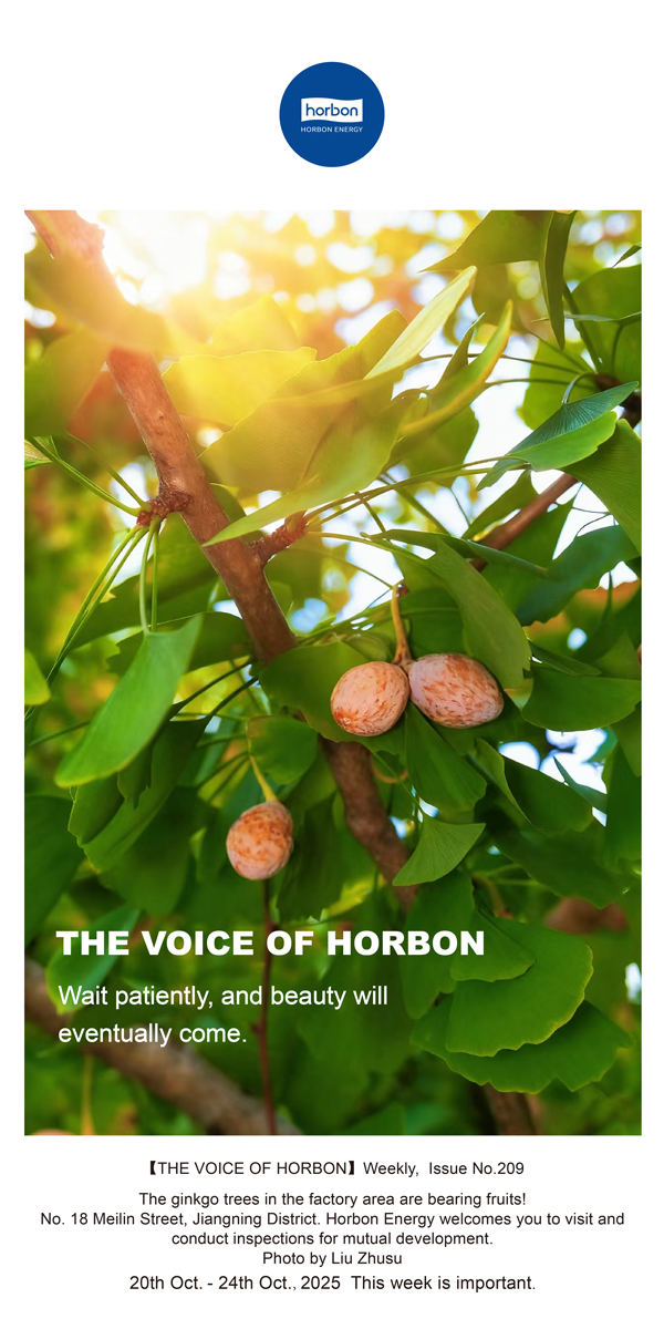 【和之声】耐心期待，美好终将到来。-(总第209期）2025.10.20英文导出季度推送用.jpg