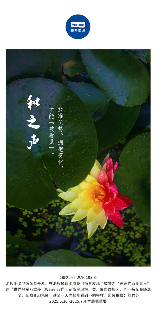 【和之声】找准优势、拥抱变动，能力“被看见”。(总第193期）--2025.6中文导出季度推送用.jpg